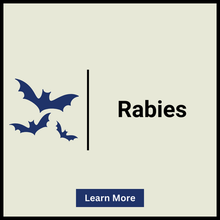 DPHHS Rabies Webpage